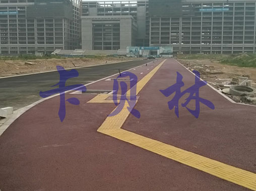 新區(qū)石家莊市政府樓前的透水地坪道路