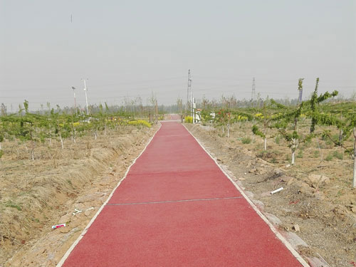 采摘園騎行車道透水地坪路面施工